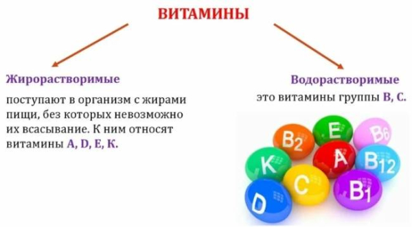 Какие витамины и минералы нельзя принимать вместе