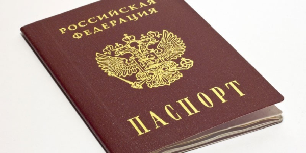 Страховая пенсия по инвалидности - кому положена, порядок оформления, необходимые документы и размеры выплаты