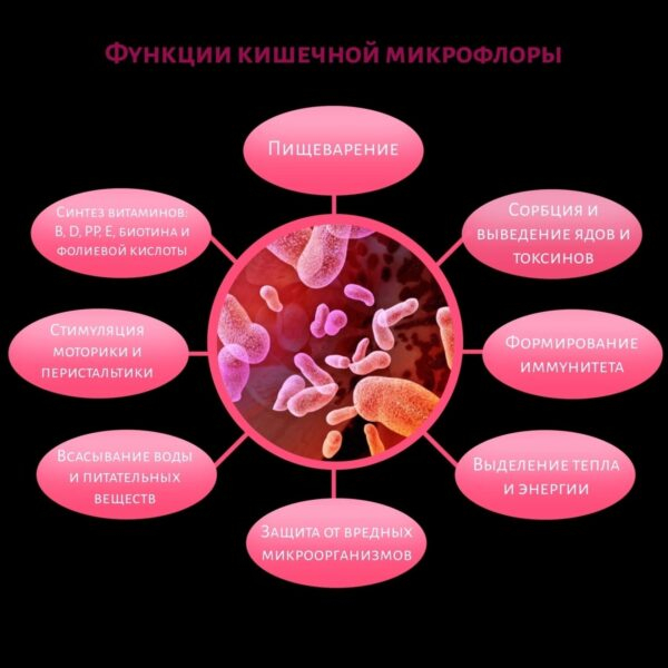 Влияние микрофлоры на здоровье человека