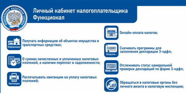 Как подать декларацию в налоговую