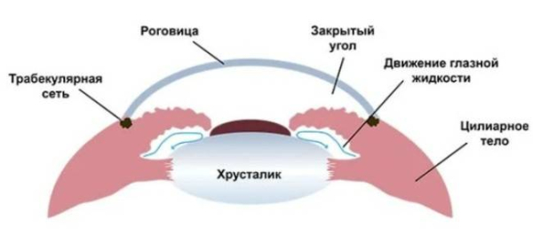 6 возможных причин красных глаз 6 возможных причин красных глаз