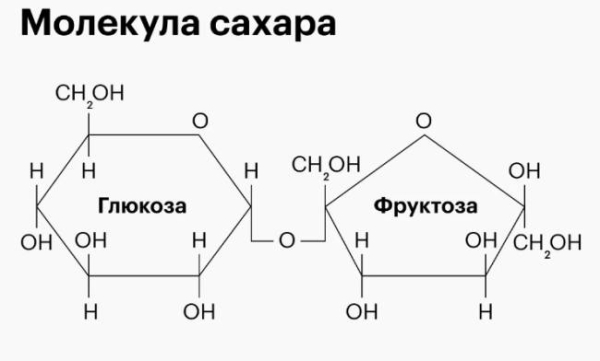5 вещей, которые вы не знали о сахаре