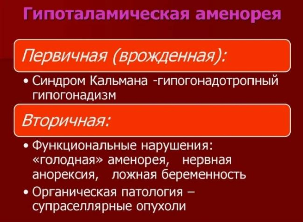 Что такое гипоталамическая аменорея Что такое гипоталамическая аменорея