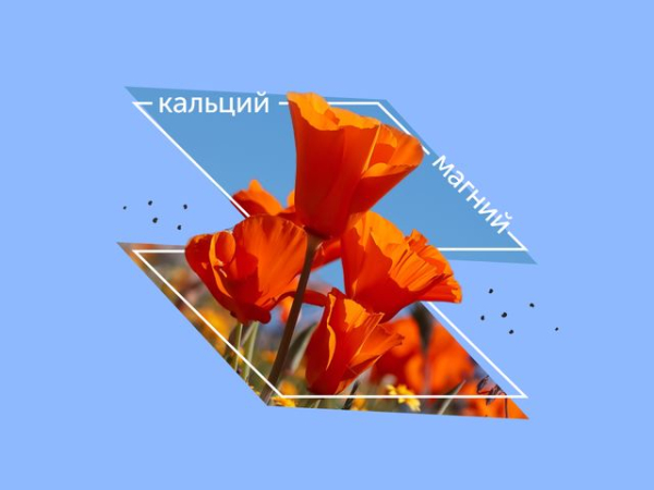 Чего в маке больше &mdash; пользы или вреда