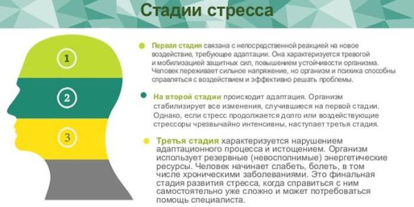 10 способов улучшить память после 50 лет