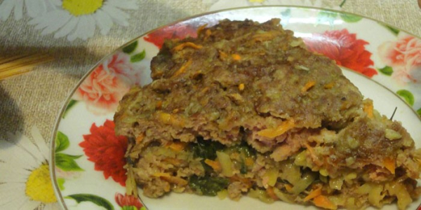Запеканка из фарша - как вкусно приготовить в домашних условиях по пошаговым рецептам с фото