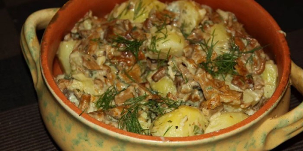 Лисички в сметане - рецепты приготовления с мясом, картошкой и сыром на сковороде или в духовке Лисички в сметане - рецепты приготовления с мясом, картошкой и сыром на сковороде или в духовке