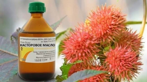 Полезные свойства касторового масла
