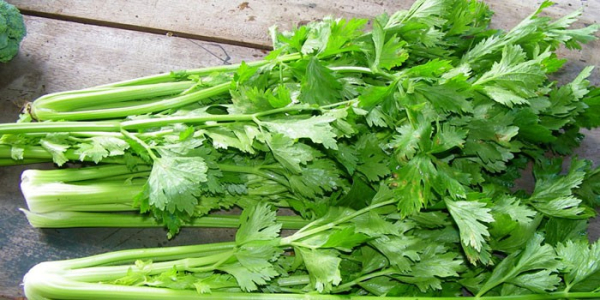Продукты для потенции Продукты для потенции