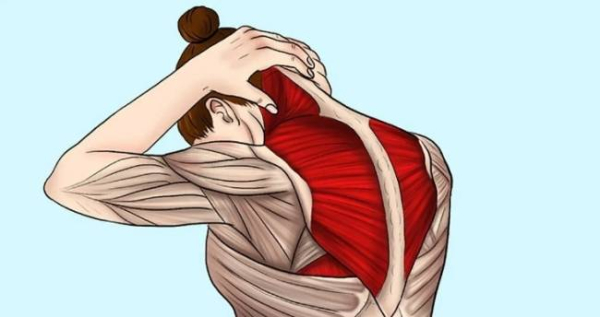 9 способов предотвратить боль в шее 9 способов предотвратить боль в шее