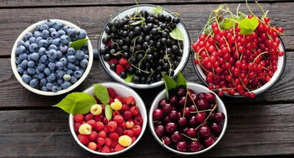 Полезные и вредные продукты при язве желудка