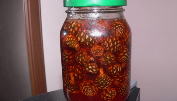 Варенье из шишек Варенье из шишек