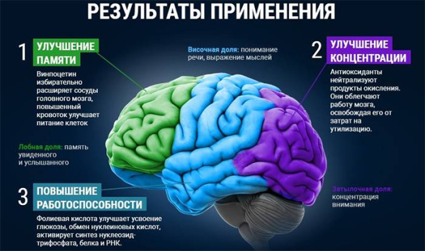 10 способов улучшить память после 50 лет