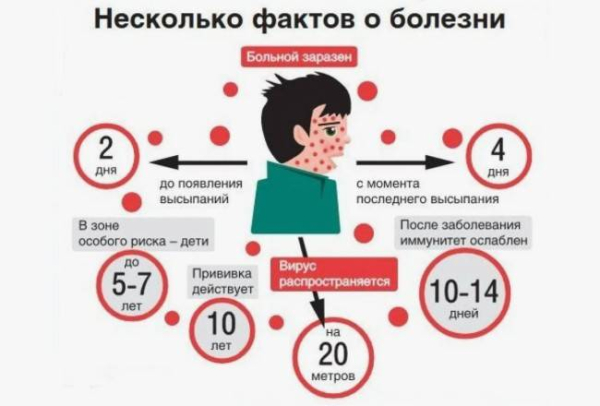 Что такое ветряная оспа Что такое ветряная оспа