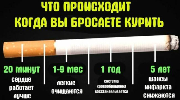 5 шагов, которые улучшат здоровье сердца 5 шагов, которые улучшат здоровье сердца