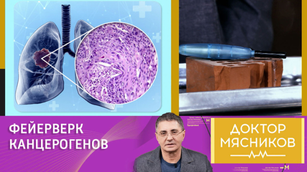 Мясников о курении: убивает не никотин, а продукты сгорания Мясников о курении: убивает не никотин, а продукты сгорания