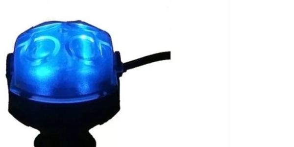 Лампы для аквариума - как правильно выбрать освещение для пресноводных или морских, виды лам и их свойства