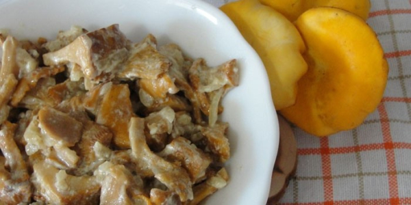 Лисички в сметане - рецепты приготовления с мясом, картошкой и сыром на сковороде или в духовке Лисички в сметане - рецепты приготовления с мясом, картошкой и сыром на сковороде или в духовке