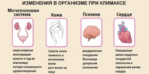 Изменения в сердце после 50 о которых важно знать
