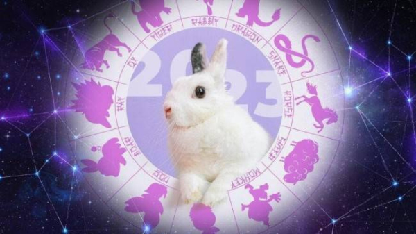 Кролик: китайский гороскоп здоровья на 2025 год