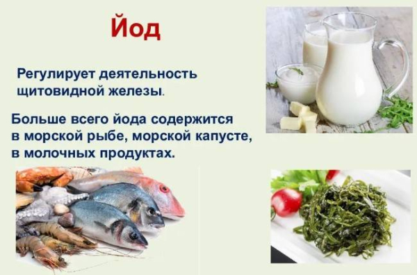 Продукты с высоким содержанием йода, которые стоит включить в рацион Продукты с высоким содержанием йода, которые стоит включить в рацион