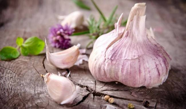 10 продуктов, содержащих антибиотики