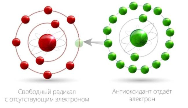 9 способов очистить организм от токсинов
