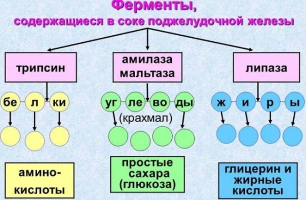 Экзокринная недостаточность поджелудочной железы
