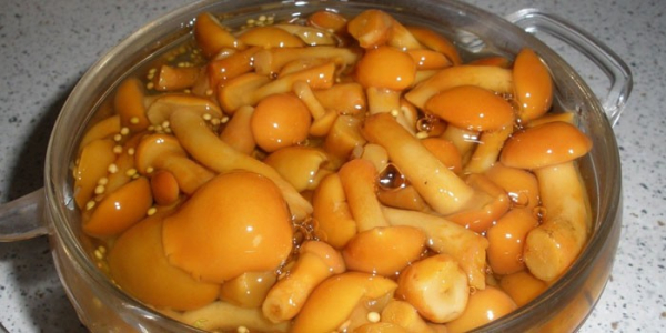 Маринованные маслята Маринованные маслята