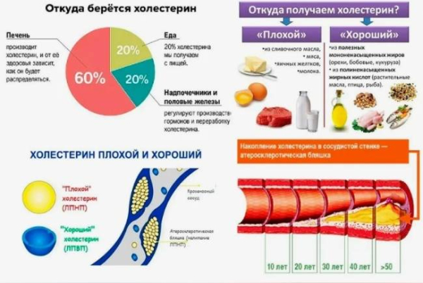 Как возраст и пол могут повлиять на уровень холестерина