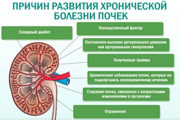 Опасные заболевания приводят к серьёзным последствиям