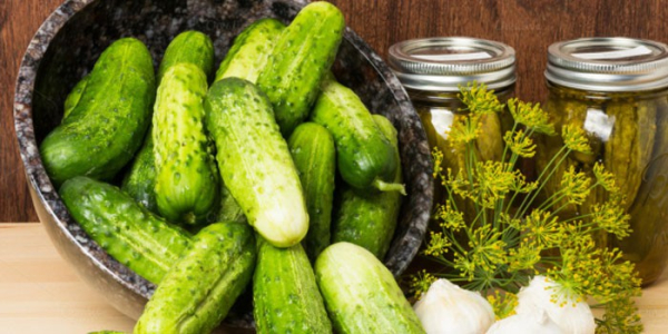Маринованные огурцы на зиму Маринованные огурцы на зиму