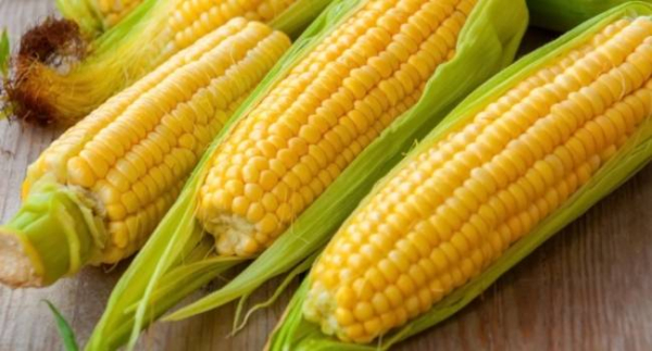 9 преимуществ кукурузы для здоровья