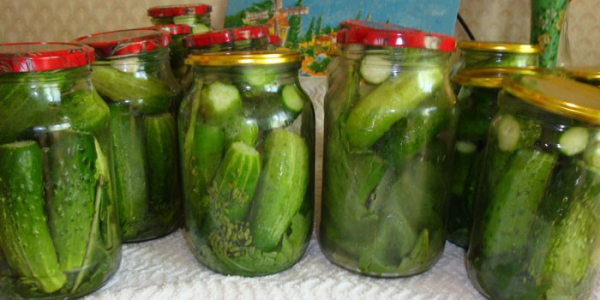 Маринованные огурцы на зиму Маринованные огурцы на зиму