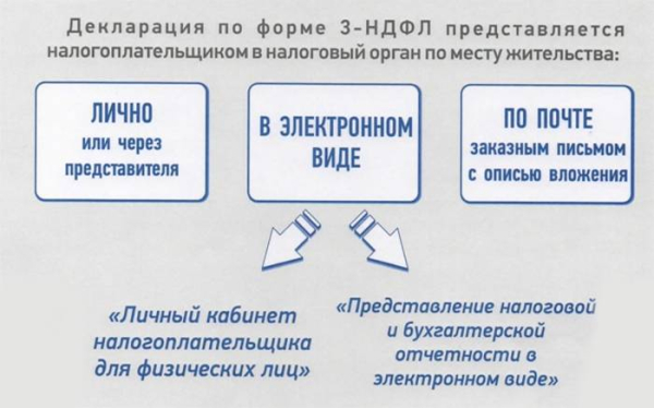 Как подать декларацию в налоговую