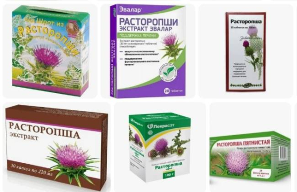 Польза расторопши для здоровья
