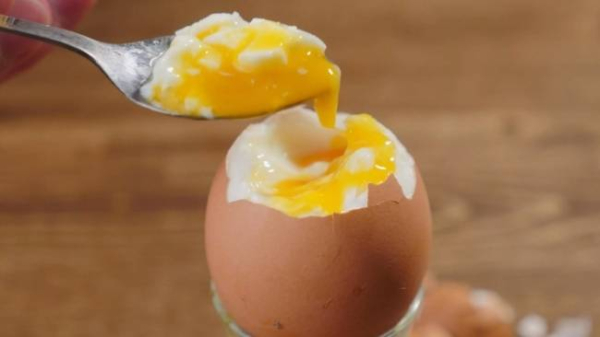 7 продуктов с высоким содержанием витамина Е