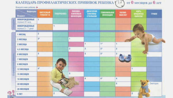 График прививок для детей