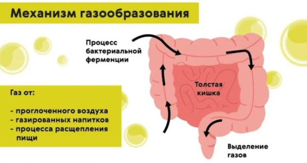 Какое лучшее лекарство от метеоризма