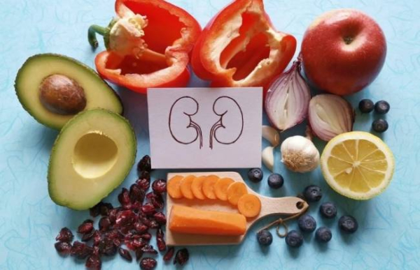 Какие продукты помогают восстановить почки
