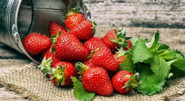 Советы по весенней и летней диете для пожилых людей