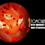 Роль гомоцистеина в организме